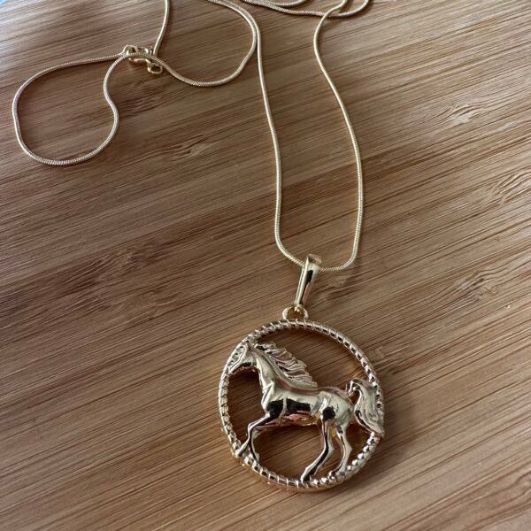 COLAR LONGO MEDALHA TRABALHADA ÁRABE - Image 3